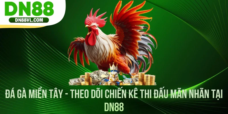 - Đá Gà Miền Tây - Theo Dõi Chiến Kê Thi Đấu Mãn Nhãn Tại DN88